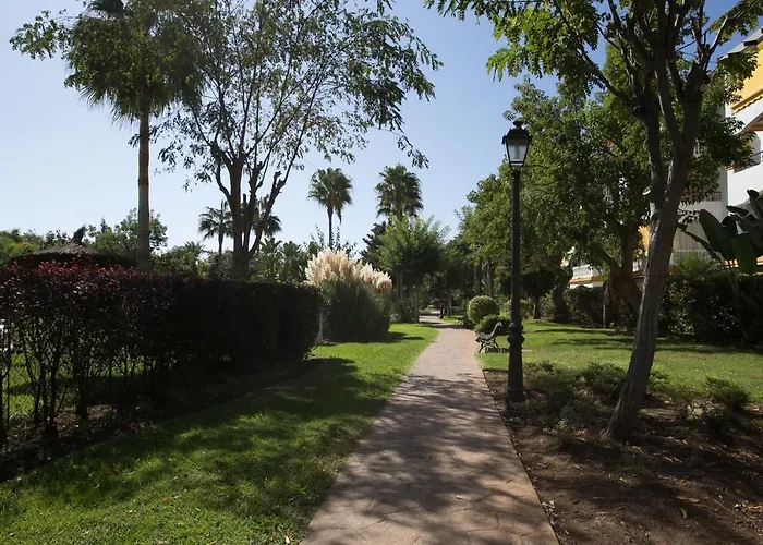 Dama De Noche * Marbella